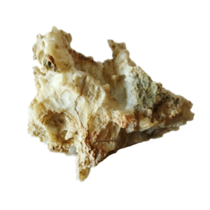 natural quartz flower gobi stone raw desert rock home decor. (g50)