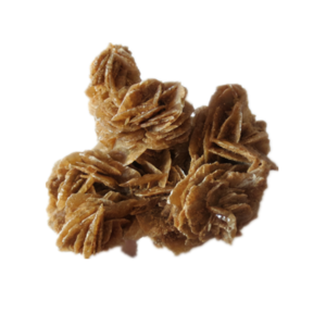 Desert Rose