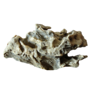 natural quartz flower gobi stone raw desert rock home decor. (g54)