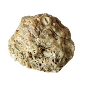 natural quartz flower gobi stone raw desert rock home decor. (g16)