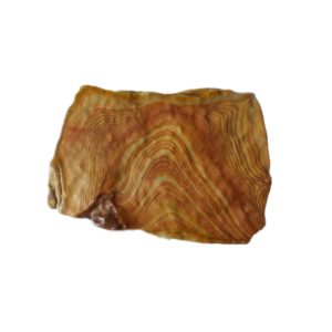 Wood Grain stone