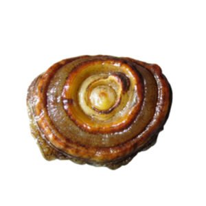 Eyes Gobi Agate