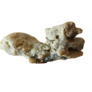 natural quartz flower gobi stone raw desert rock home decor. (g48)