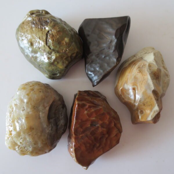 gobi desert raw rough stones natural gemstone specimen for collectors (p30)