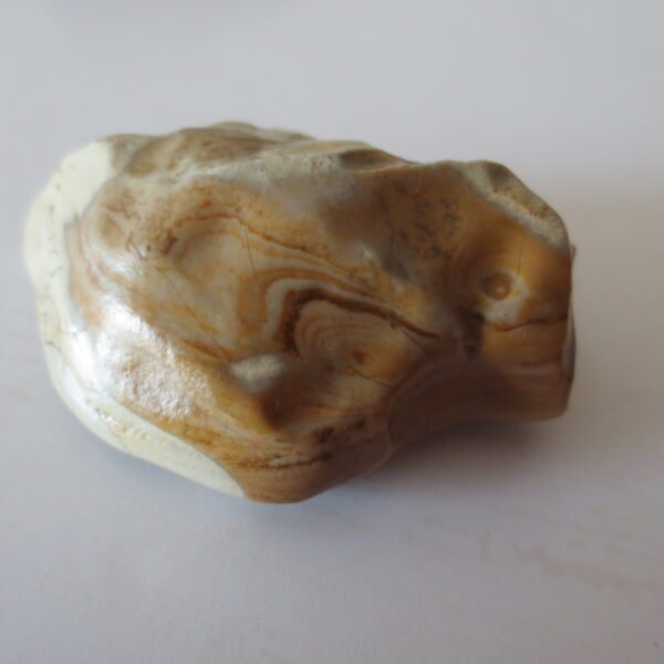 gobi desert raw rough stones natural gemstone specimen for collectors (p30)