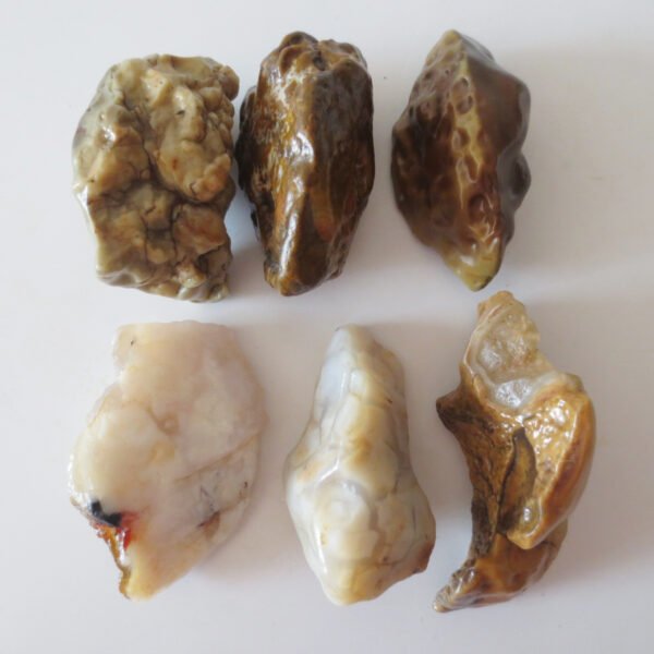 gobi desert raw rough stones natural gemstone specimen for collectors (p32)