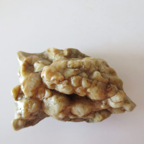 gobi desert raw rough stones natural gemstone specimen for collectors (p32)