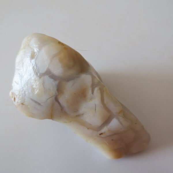 gobi desert raw rough stones natural gemstone specimen for collectors (p32)