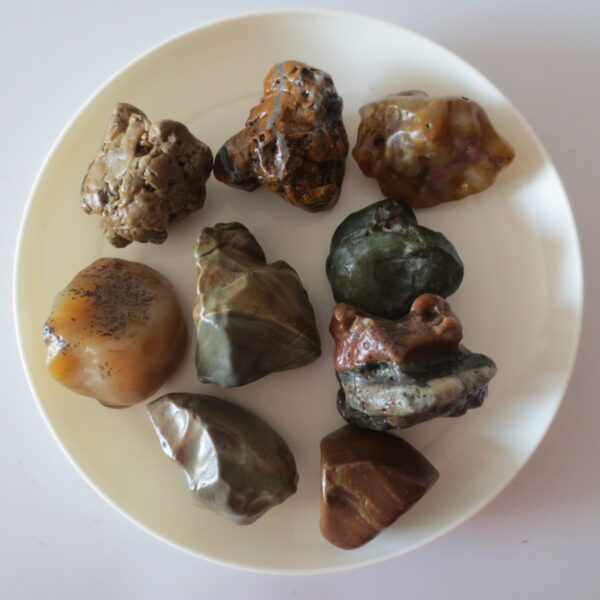 gobi desert raw rough stones natural gemstone specimen for collectors (p36)