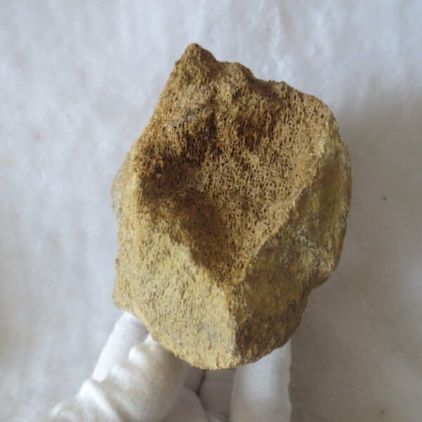 natural quartz gobi stone raw desert rock home decor. (g12)