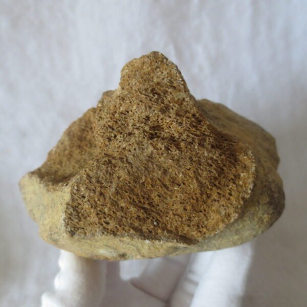 natural quartz gobi stone raw desert rock home decor. (g12)