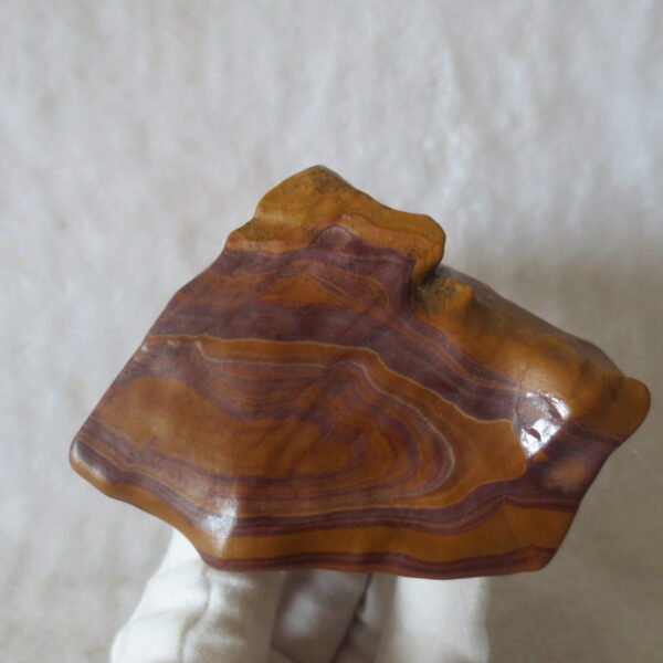 natural banded gobi agate raw desert mudstone home decor. (j01)