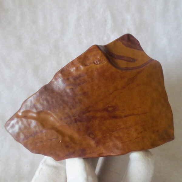natural banded gobi agate raw desert mudstone home decor. (j01)