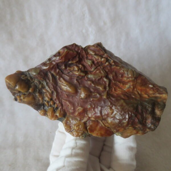 natural banded gobi agate raw desert mudstone home decor. (j04) (copy)
