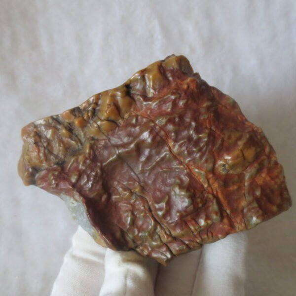natural banded gobi agate raw desert mudstone home decor. (j04) (copy)