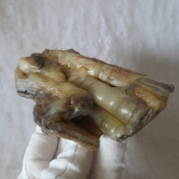 natural banded gobi agate raw desert mudstone home decor. (j01) (copy)