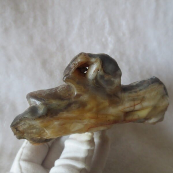 natural banded gobi agate raw desert mudstone home decor. (j01) (copy)