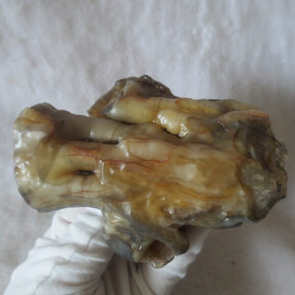 natural banded gobi agate raw desert mudstone home decor. (j01) (copy)