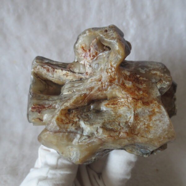 natural banded gobi agate raw desert mudstone home decor. (j01) (copy)