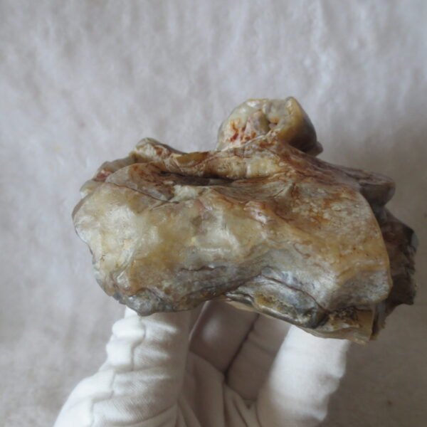 natural banded gobi agate raw desert mudstone home decor. (j01) (copy)