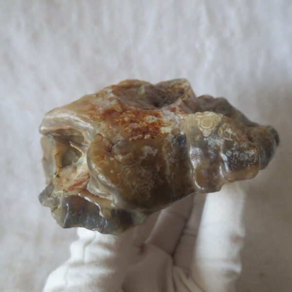 natural banded gobi agate raw desert mudstone home decor. (j01) (copy)