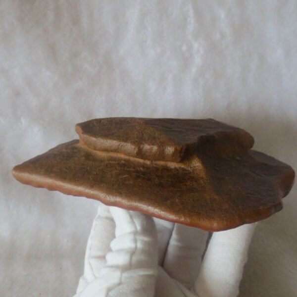 natural banded gobi agate raw desert mudstone home decor. (j04)