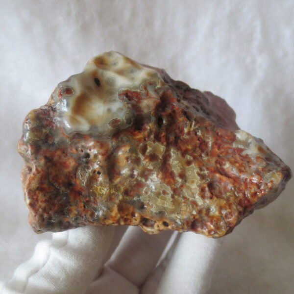 natural banded gobi agate raw desert mudstone home decor. (j06)