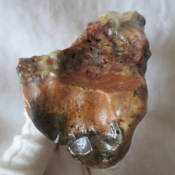 natural banded gobi agate raw desert mudstone home decor. (j06)