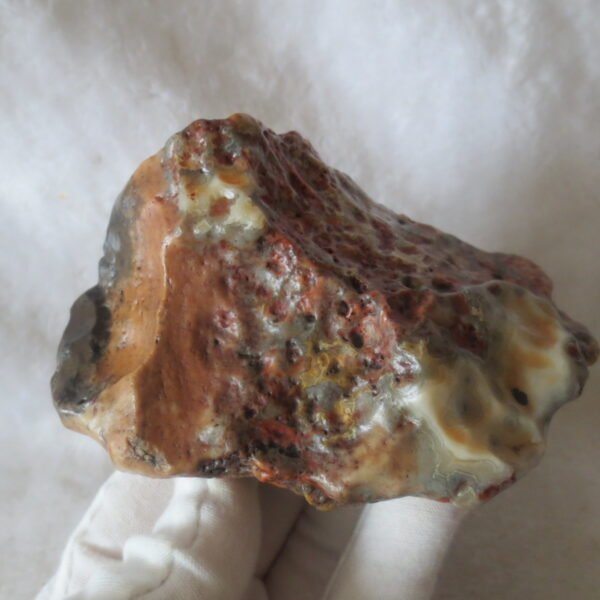 natural banded gobi agate raw desert mudstone home decor. (j06)