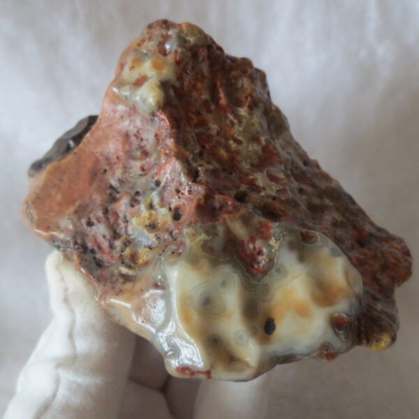 natural banded gobi agate raw desert mudstone home decor. (j06)