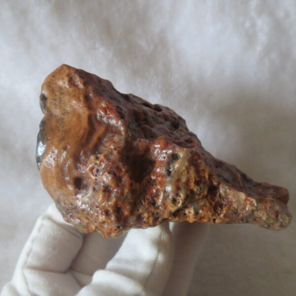 natural banded gobi agate raw desert mudstone home decor. (j06)