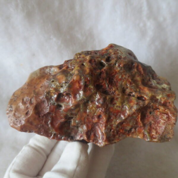 natural banded gobi agate raw desert mudstone home decor. (j06)