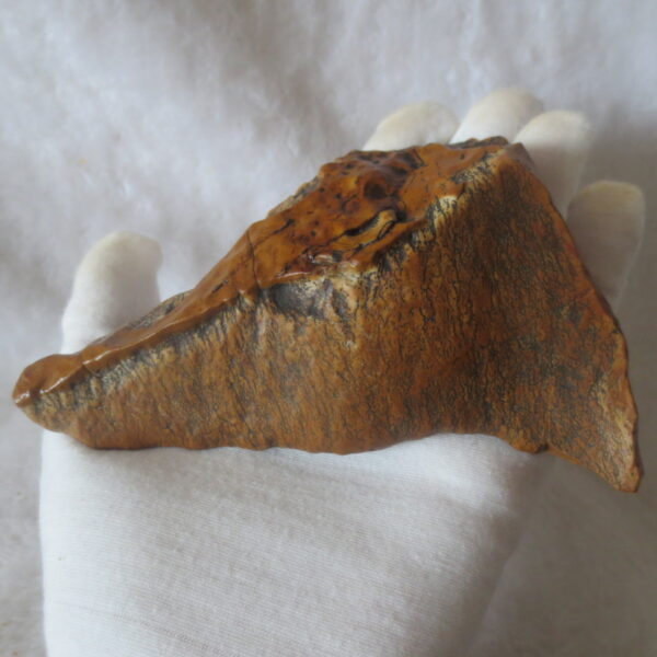 natural banded gobi agate raw desert mudstone home decor. (j07)