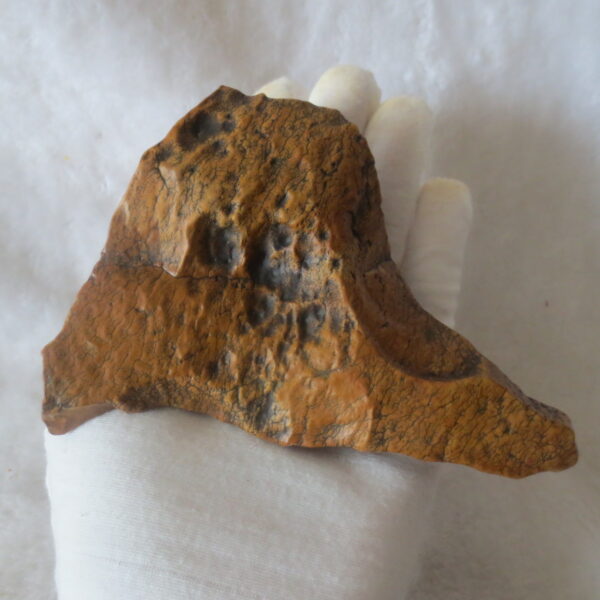 natural banded gobi agate raw desert mudstone home decor. (j07)