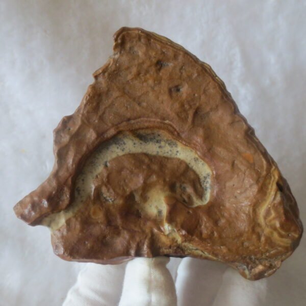 natural banded gobi agate raw desert mudstone home decor. (j08)