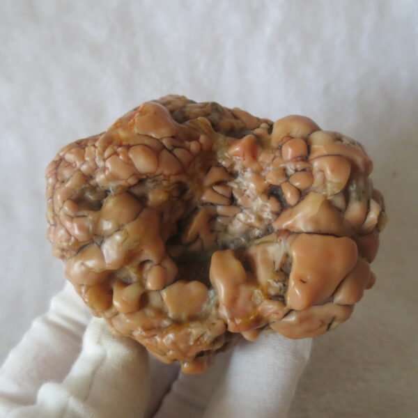 natural banded gobi agate raw desert mudstone home decor. (j10)