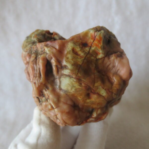 natural banded gobi agate raw desert mudstone home decor. (j10)