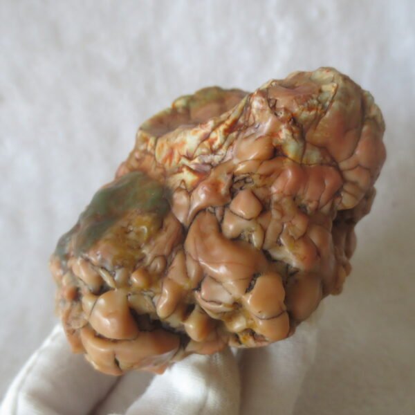 natural banded gobi agate raw desert mudstone home decor. (j10)