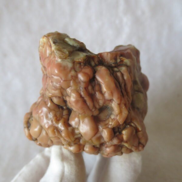 natural banded gobi agate raw desert mudstone home decor. (j10)