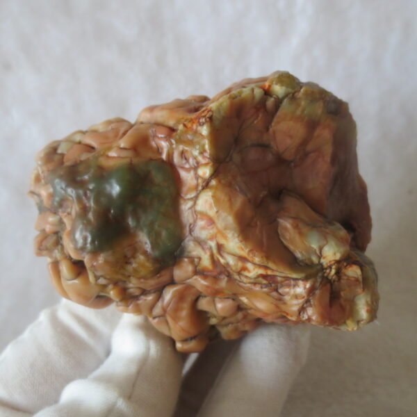 natural banded gobi agate raw desert mudstone home decor. (j10)