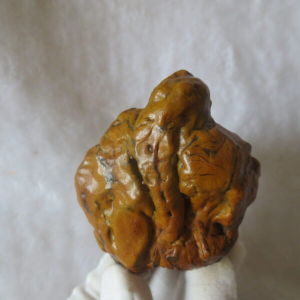 natural banded gobi agate raw desert mudstone home decor. (j13)