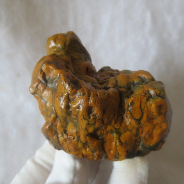 natural banded gobi agate raw desert mudstone home decor. (j13)