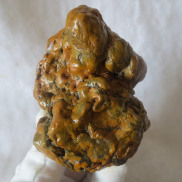 natural banded gobi agate raw desert mudstone home decor. (j13)