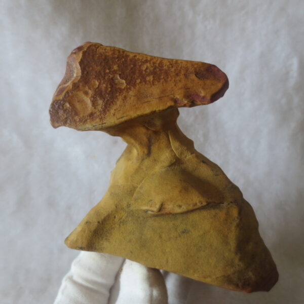 natural banded gobi agate raw desert mudstone home decor. (j14)
