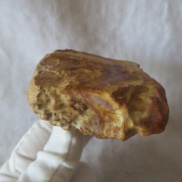 natural banded gobi agate raw desert mudstone home decor. (j15)