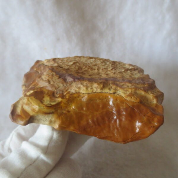natural banded gobi agate raw desert mudstone home decor. (j15)