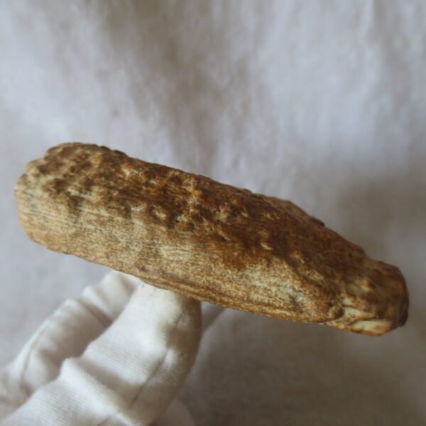 natural banded gobi agate raw desert mudstone home decor. (j15)