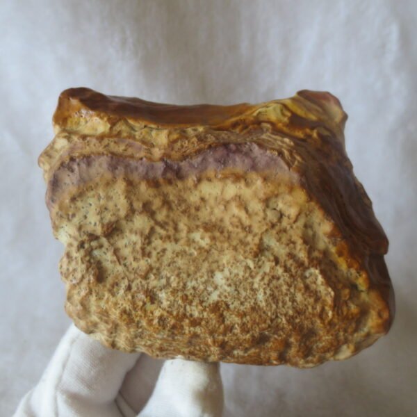 natural banded gobi agate raw desert mudstone home decor. (j15)