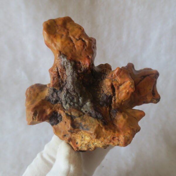 natural banded gobi agate raw desert mudstone home decor. (j15) (copy)