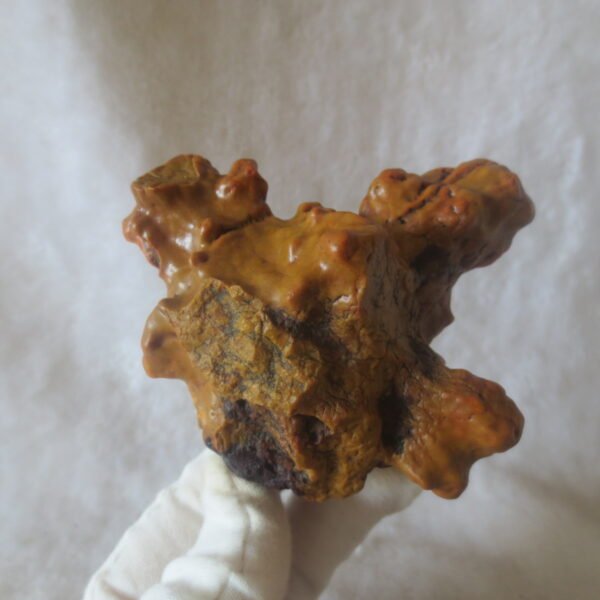 natural banded gobi agate raw desert mudstone home decor. (j15) (copy)